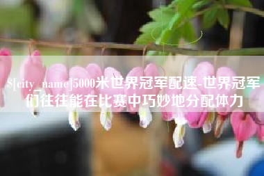 荆门5000米世界冠军配速-世界冠军们往往能在比赛中巧妙地分配体力
