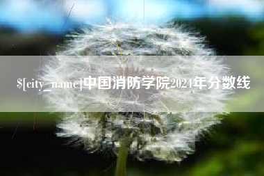 荆门中国消防学院2024年分数线