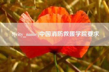 荆门中国消防救援学院要求