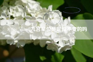 荆门九宫星位是定位不变的吗