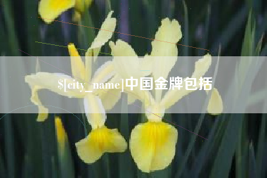 荆门中国金牌包括