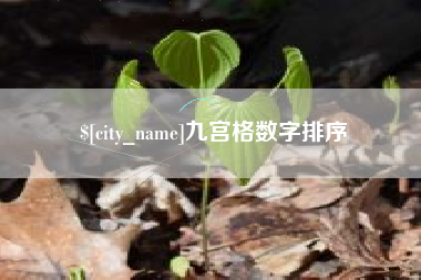 荆门九宫格数字排序