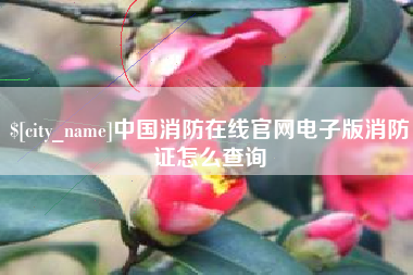 荆门中国消防在线官网电子版消防证怎么查询