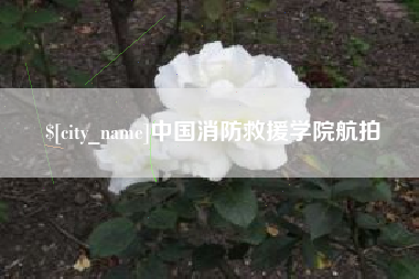 荆门中国消防救援学院航拍