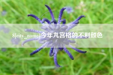 荆门今年九宫格的不利颜色