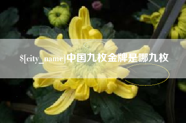 荆门中国九枚金牌是哪九枚