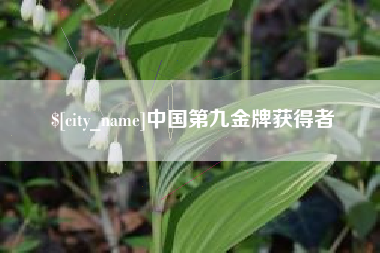 荆门中国第九金牌获得者