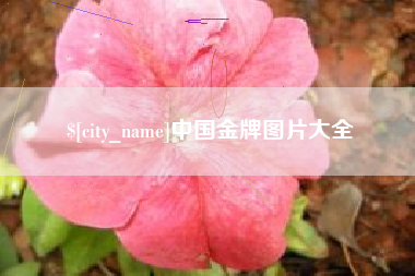 荆门中国金牌图片大全