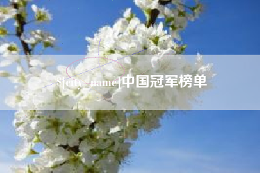 荆门中国冠军榜单