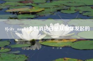 荆门全国消防日是从哪年发起的