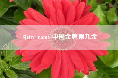 荆门中国金牌第九金