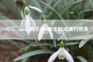 荆门男子5000米年龄成绩对照表