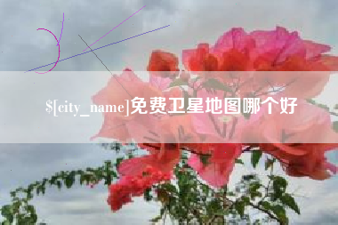 荆门免费卫星地图哪个好