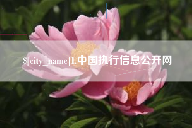 荆门1.中国执行信息公开网