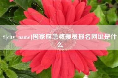 荆门国家应急救援员报名网址是什么