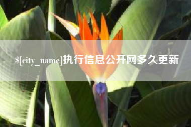 荆门执行信息公开网多久更新