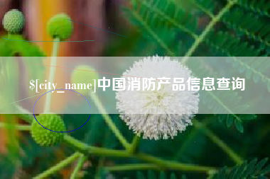 荆门中国消防产品信息查询