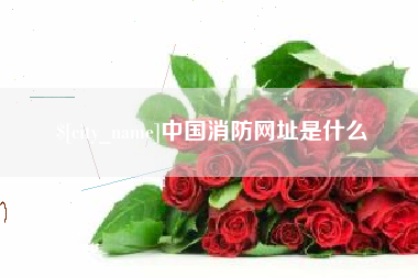 荆门中国消防网址是什么