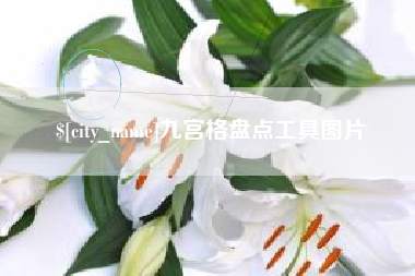 荆门九宫格盘点工具图片