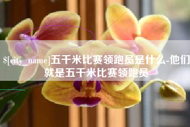荆门五千米比赛领跑员是什么-他们就是五千米比赛领跑员