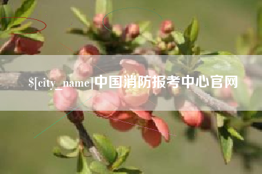 荆门中国消防报考中心官网