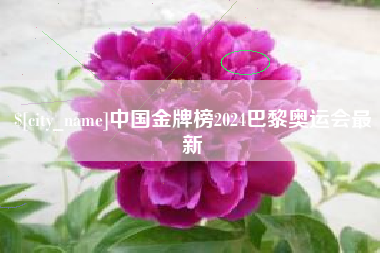 荆门中国金牌榜2024巴黎奥运会最新
