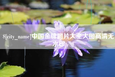 荆门中国金牌图片大全大图高清无水印