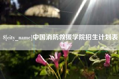 荆门中国消防救援学院招生计划表