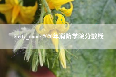 荆门2020年消防学院分数线
