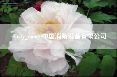 荆门中国消防设备有限公司