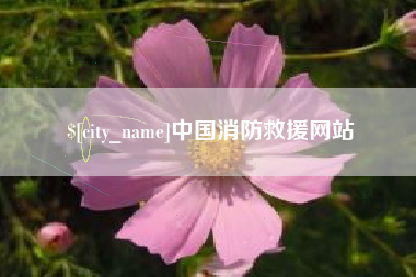 荆门中国消防救援网站