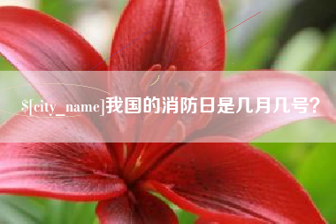 荆门我国的消防日是几月几号？
