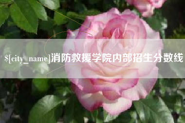 荆门消防救援学院内部招生分数线