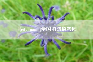 荆门全国消防招考网
