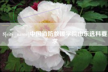 荆门中国消防救援学院山东选科要求