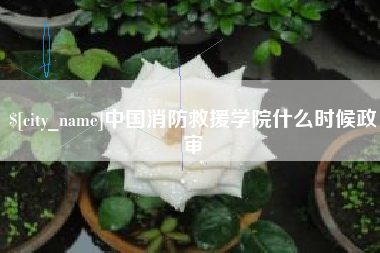 荆门中国消防救援学院什么时候政审