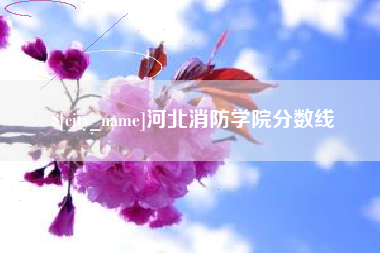 荆门河北消防学院分数线