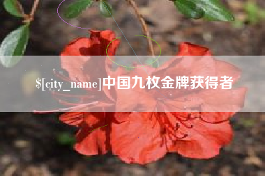 荆门中国九枚金牌获得者