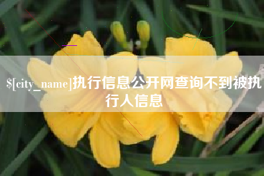 荆门执行信息公开网查询不到被执行人信息