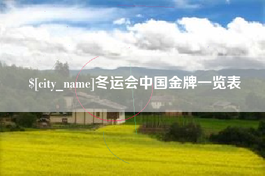 荆门冬运会中国金牌一览表