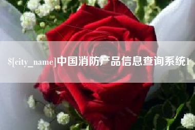 荆门中国消防产品信息查询系统1
