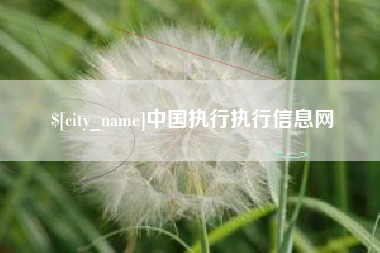 荆门中国执行执行信息网