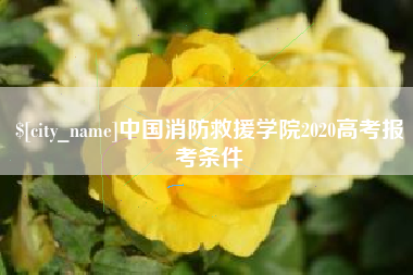 荆门中国消防救援学院2020高考报考条件