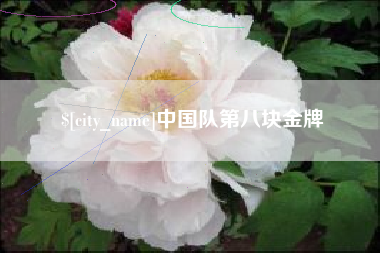 荆门中国队第八块金牌