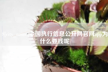 荆门中国执行信息公开网官网app为什么要钱呢