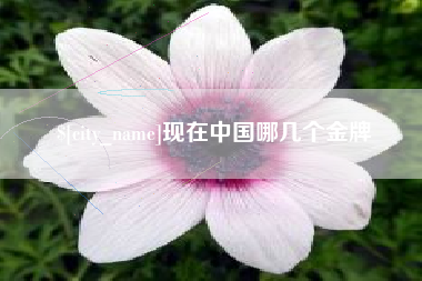 荆门现在中国哪几个金牌