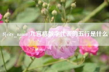 荆门九宫格数字代表的五行是什么