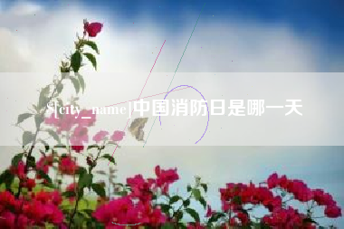 荆门中国消防日是哪一天