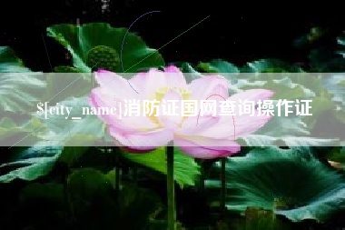 荆门消防证国网查询操作证