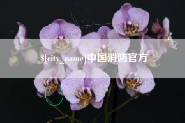 荆门中国消防官方